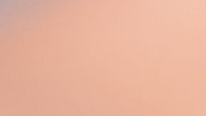 shutterstock_1480988021 (1)
