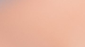 shutterstock_1480988021 (1)