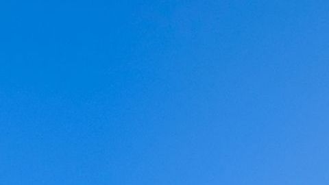 El chofer no se dio cuenta que el niño nunca bajo del vehículo.