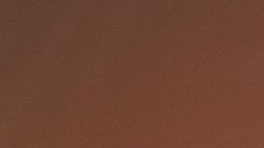 shutterstock_1577793355