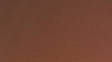 shutterstock_1577793355