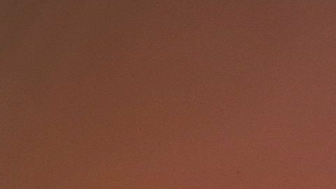 shutterstock_1577793355