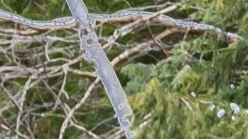 Todo se suscitó por una fuerte discusión entre la pareja.