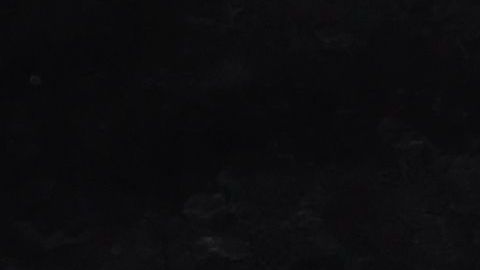 Por fortuna, el incidente no pasó a mayores.