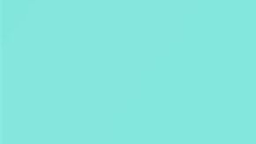 Lo contrario ocurre en los hombres.