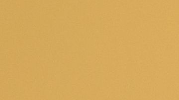 El perro se ganó el corazón de todos los de la agencia.