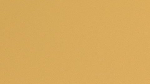 El perro se ganó el corazón de todos los de la agencia.