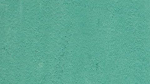 La niñera engañaba a las niñas para llevarlas a un sitio lejano a su casa y ahí cometer los abusos.