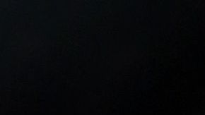 El perro se mostró agradecido.