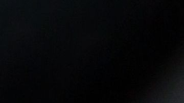 El perro se mostró agradecido.