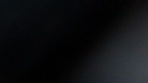 El perro se mostró agradecido.