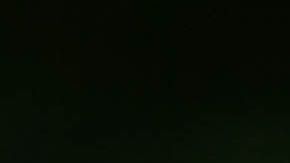 Los defensores de los animales han demostrado su indignación.