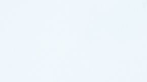 Alguien en otro edificio captó la insólita escena.