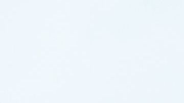 Alguien en otro edificio captó la insólita escena.