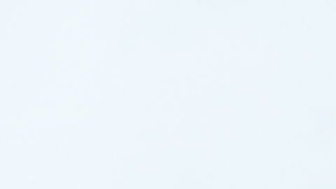 Alguien en otro edificio captó la insólita escena.