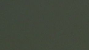 Llegaron solicitudes de todos lados de EE.UU.