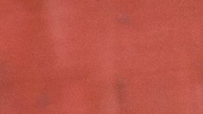 Su esposa nunca se percató que se acercaba un tren.