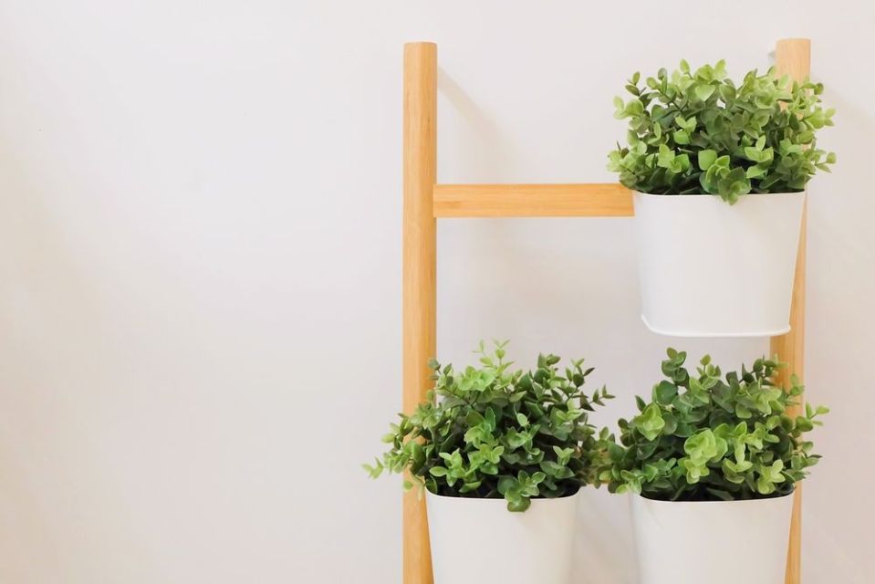 Los mejores soportes para plantas que ahorran espacio en tu casa - La Raza