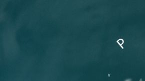 ¿Tienes idea de qué es la ortología?