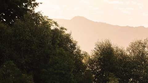 Kia Sorento 2020. / Foto: Cortesía Kia.