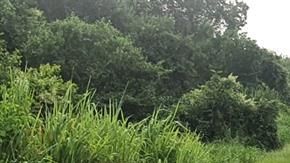 Violencia en Tabasco,