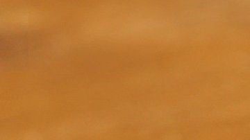 Té de canela y limón.