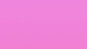 Telemundo y Univision se pelean la audiencia cada noche.