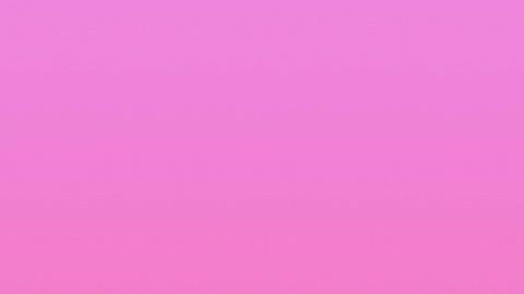 Telemundo y Univision se pelean la audiencia cada noche.