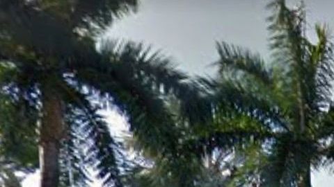 La Universidad de Miami ya ha tomado medidas para frenar el COVID-19.