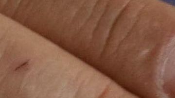 Las visas H-2B están destinadas a trabajos temporales no agrícolas.