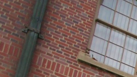 El campus de la Universidad del Sur de California (USC).