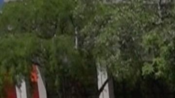 Un vehículo de la policía de la ciudad de Miami.