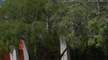 Un vehículo de la policía de la ciudad de Miami.