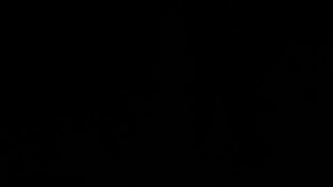 La gente se reúne en foros para saber dónde encontrar las mejores ofertas en este tipo de mercancía ilegal.