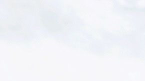 La cadena te dará una hamburguesa gratis al hacer una compra en la app.