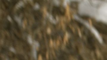 Carros sepultados por la nieve en Denver, Colorado.