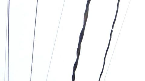 06/22/18 / LOS ANGELES/Several dozen low-income families are being evicted by the new owners.  According to the tenants seven apartment buildings, near the University of Southern California, are being renovated and rented exclusively to USC students.  (Aurelia Ventura/La Opinion)Ê