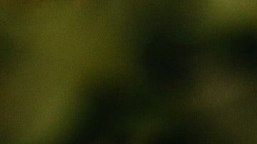 El billete de dólar atrae la buena suerte.