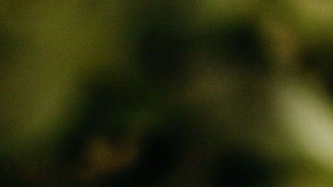 El billete de dólar atrae la buena suerte.