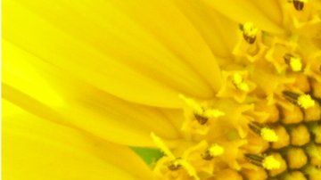 Las matemáticas han sido increíblemente eficientes para describir la naturaleza.