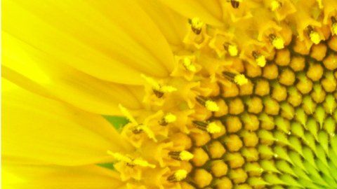 Las matemáticas han sido increíblemente eficientes para describir la naturaleza.