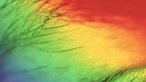 114097092_gettyimages-1145267721