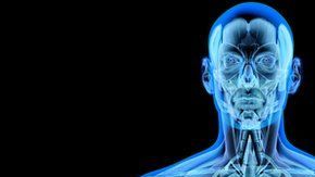 Nuestro cuerpo está fundamentalmente formado por átomos.