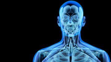 Nuestro cuerpo está fundamentalmente formado por átomos.