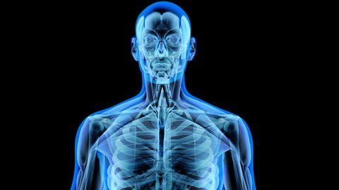 Nuestro cuerpo está fundamentalmente formado por átomos.