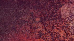 Los recuerdos no son tan fieles como pensamos.