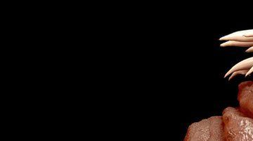 Feos, resbaladizos y con muy poco encanto... los parásitos no son precisamente los seres más carismáticos del mundo.