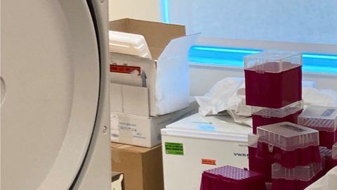 114234603_5866fe0c-52b5-40dc-8caa-3c3197f2da87