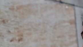 114274160_440715d2-075a-4012-88b8-d326fe5b5b70