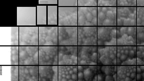 114278066_50276522908_7a9ed8756f_o